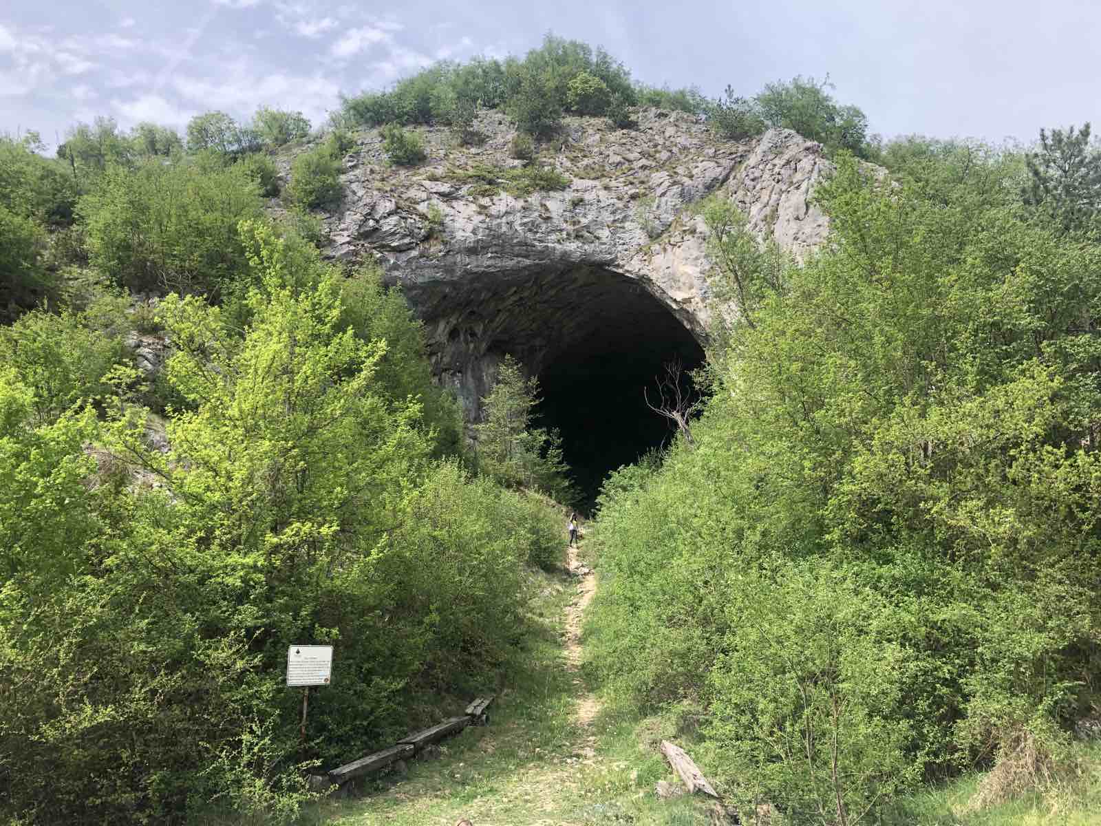 Foto: Nova ekonomija/Prerast Dobroselica Zlatibor